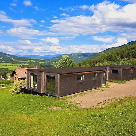 4 Star In Gaal Im Murtal, Cleaning Included Holiday home